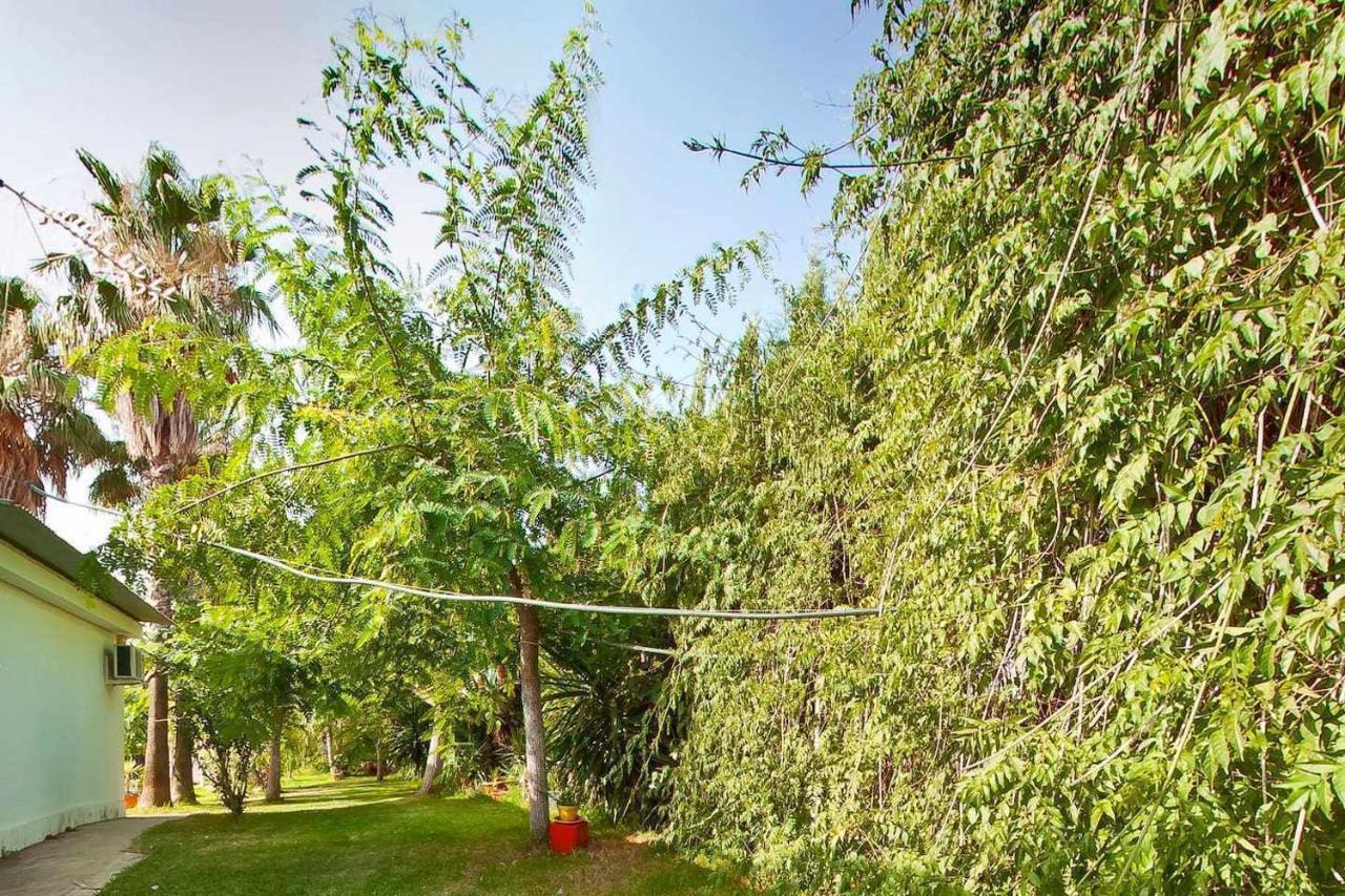 Casa Rural Finca Real De Niebla Екстер'єр фото