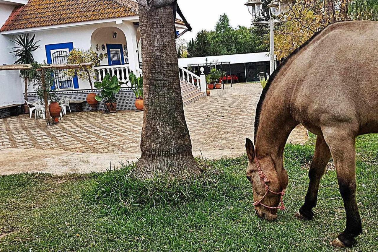 Casa Rural Finca Real De Niebla Екстер'єр фото