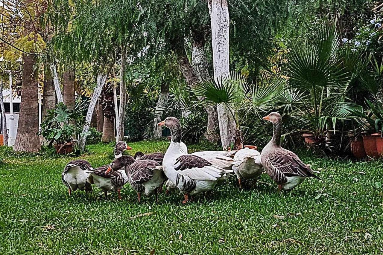 Casa Rural Finca Real De Niebla Екстер'єр фото